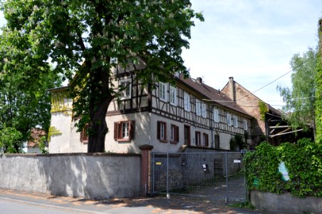 Ober-Erlenbach, Staatsdomäne Oberhof, Haupthaus
