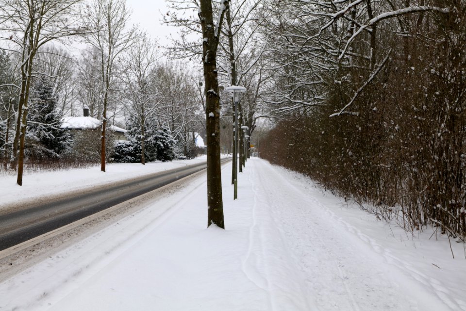 Oberjägerweg in Nieder Neuendorf with snow 2021-02-09 02