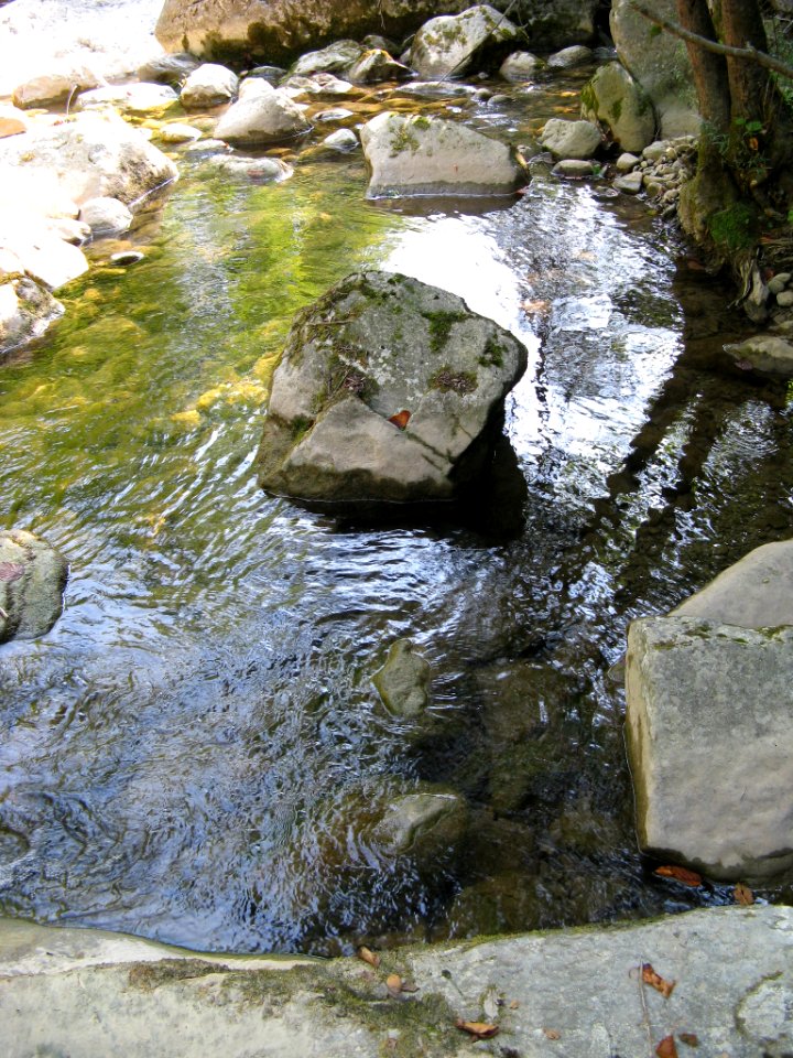 Oberlauf Fluvia 007
