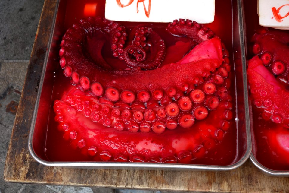 Octopus in market - Tokyo, Japan - DSC08686