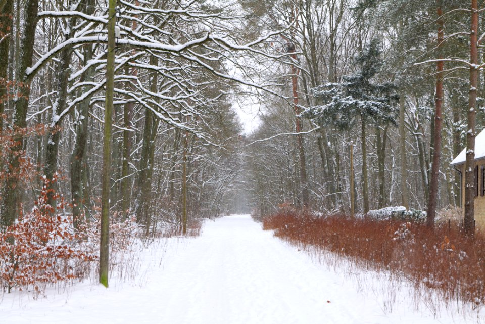 Oberjägerweg in Nieder Neuendorf with snow 2021-02-09 09