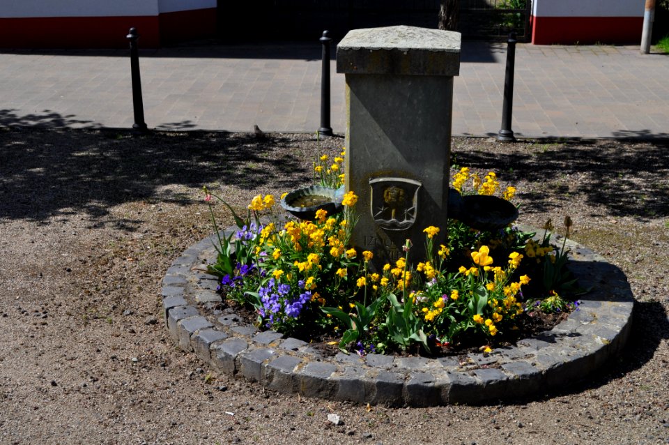 Ober-Erlenbach, Brunnen vor der Halle