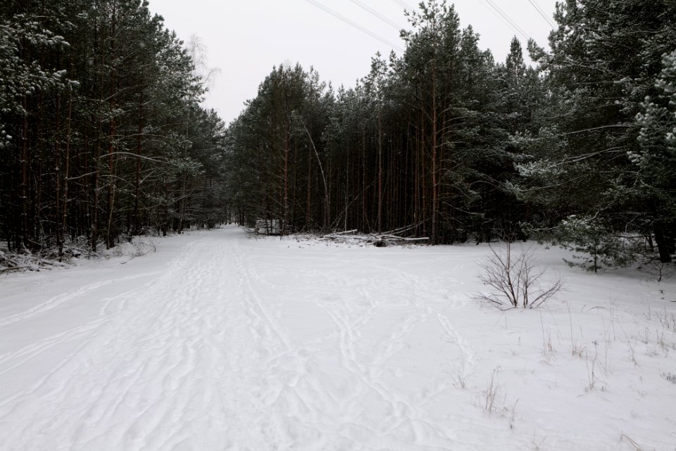 Oberjägerweg in Nieder Neuendorf with snow 2021-02-09 23