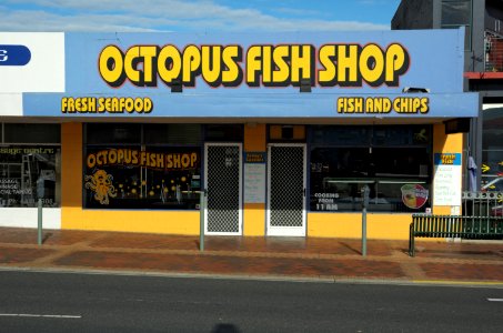 Octopus-Fish-Shop-Burnie-20131114-003