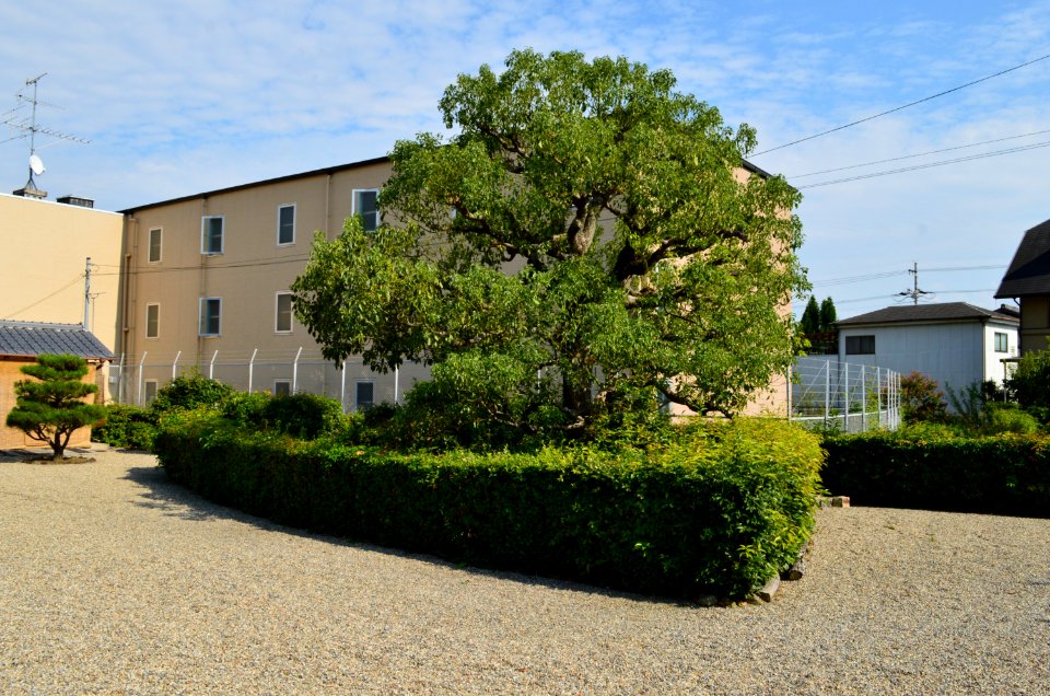Oda Chausuyama Kofun, baicho-0