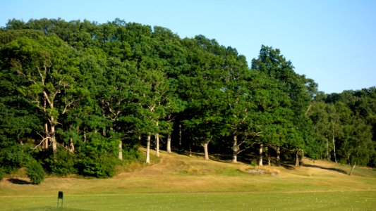 Oak grove by the driving range in Holma golf club photo