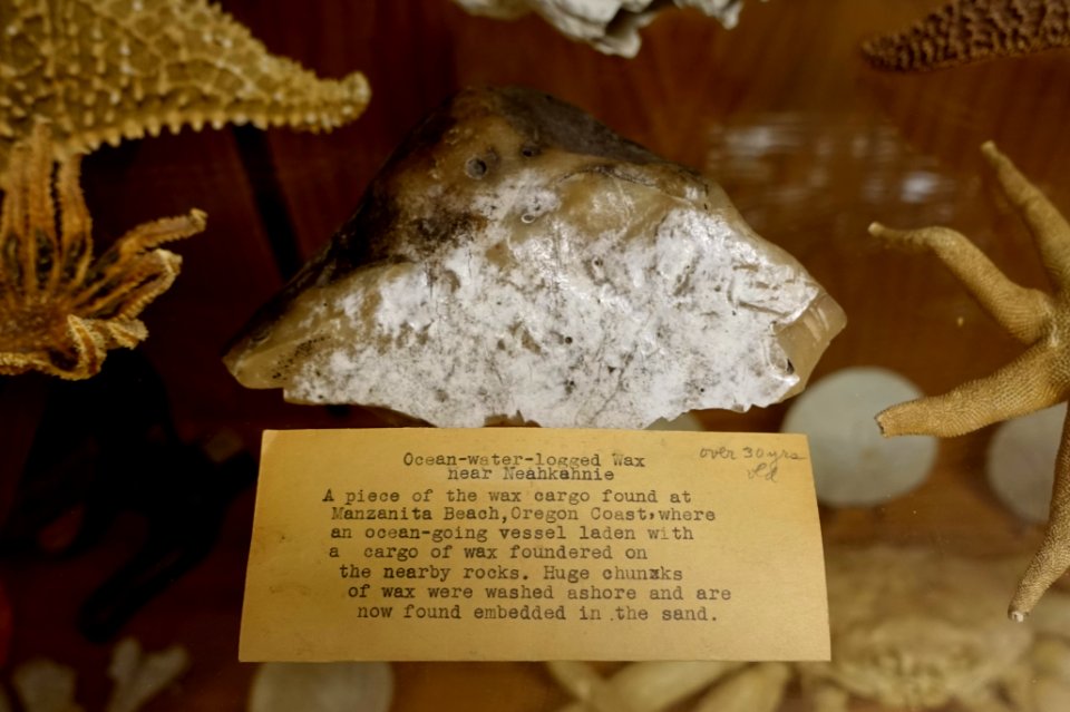 Ocean-water-logged Wax near Neahkahnie, wax cargo found at Manzanita Beach - Mount Angel Abbey Museum - Mount Angel Abbey - Mount Angel, Oregon - DSC09959