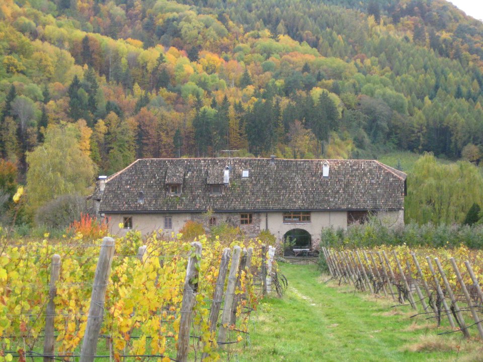 Oberhabsberger in Montiggl 2