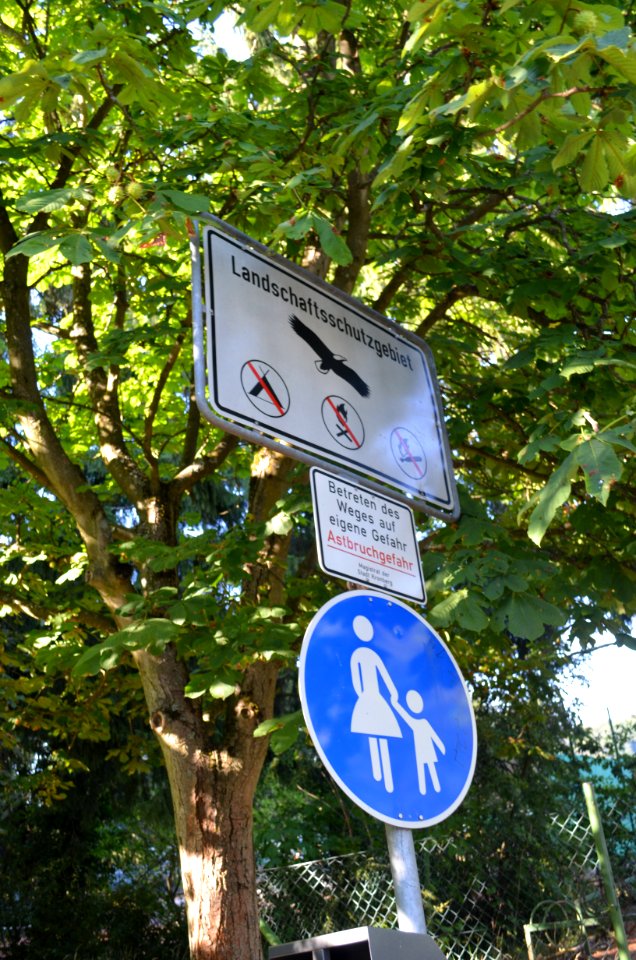 Oberhöchstadt, Naturschutzgebiet Stuhlberg