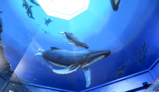 Ocean's Sanctuary mural painted by Robert Wyland I