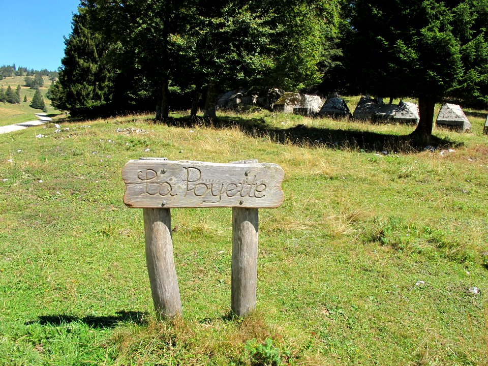 Obstacles Anti-Tank en Suisse au lieu-dit La Poyette 01