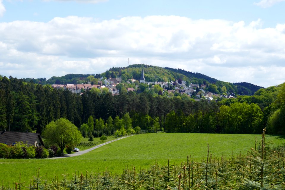 Oerlinghausen, Tönsberg