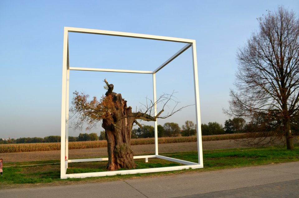 Oberursel, Linde im Mittelstedter Feld mit Kunst (2)