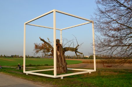 Oberursel, Linde im Mittelstedter Feld mit Kunst (4)