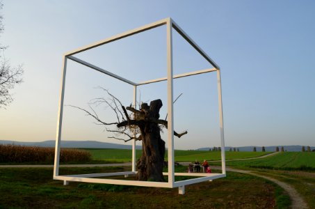 Oberursel, Linde im Mittelstedter Feld mit Kunst (3)