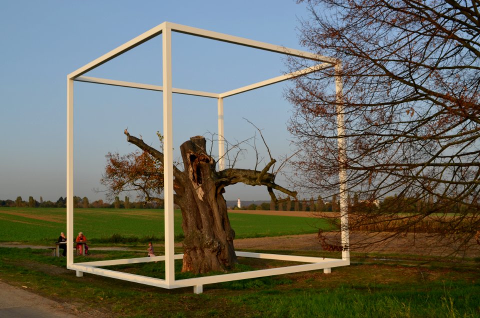 Oberursel, Linde im Mittelstedter Feld mit Kunst (1)