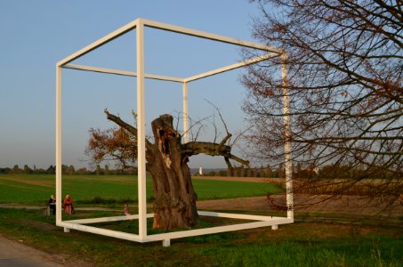 Oberursel, Linde im Mittelstedter Feld mit Kunst (1)