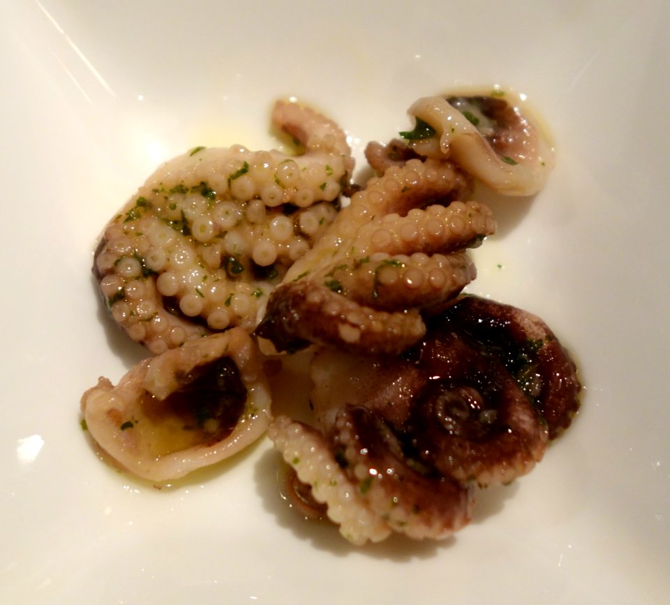 Octopus - Hilltop Hotel, Tokyo - DSC08997