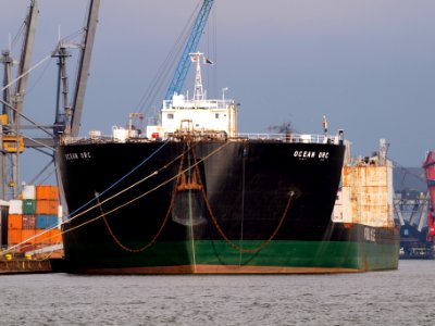 Ocean Orc at Amsterdam