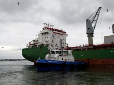 Ocean A. Simard and MV Wigeon. 04