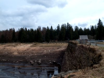 Oderteich entleert (5)