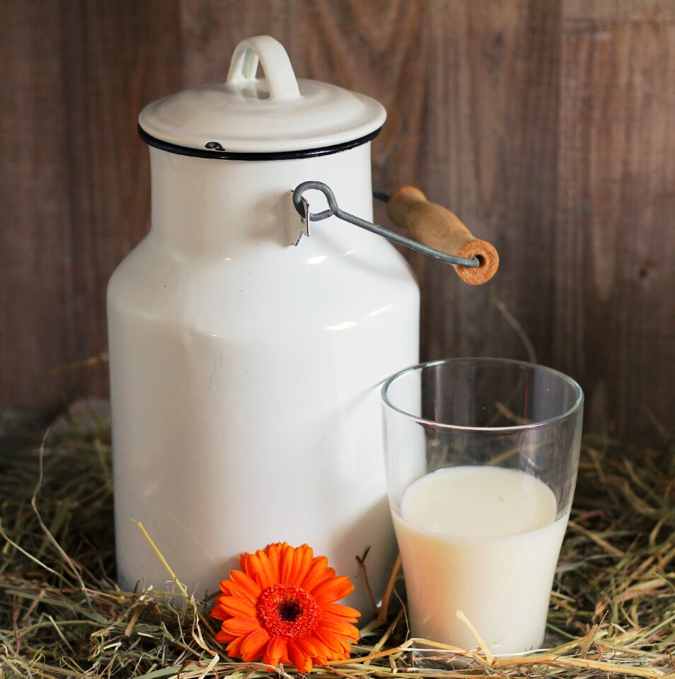 Glass of milk gerbera flower
