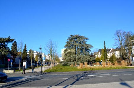 Oberursel, Adenauerallee
