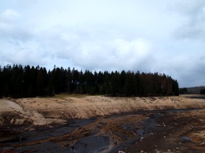 Oderteich entleert (8)