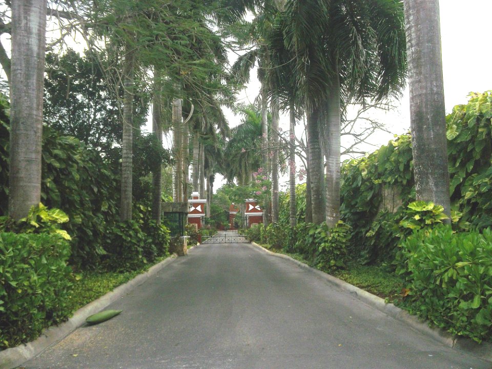 Ochil (Mérida), Yucatán (01)