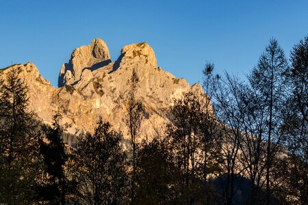 Nature tyrol austria photo