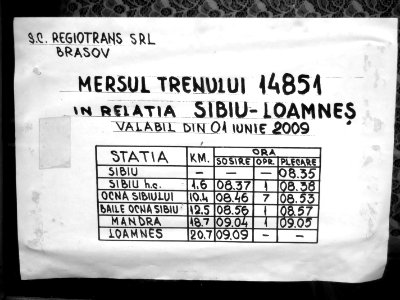 Ocna Sibiului, gara04
