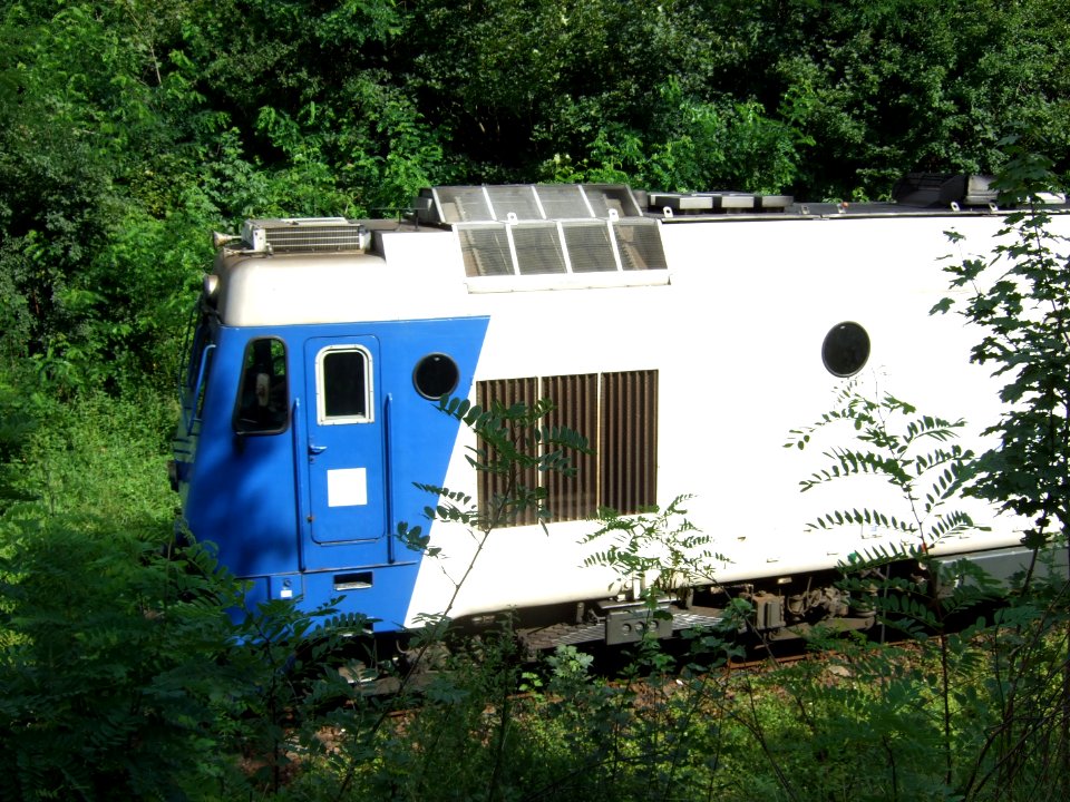 Ocna Sibiului, gara08