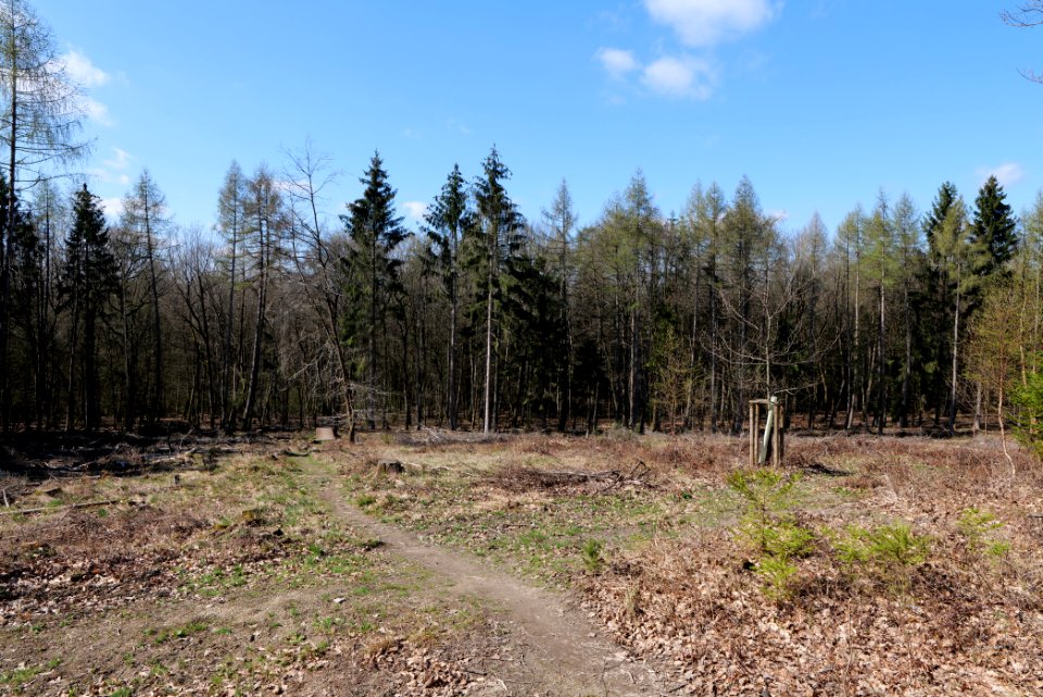 Ockstädter Kleinkastell 2021-04-02 08