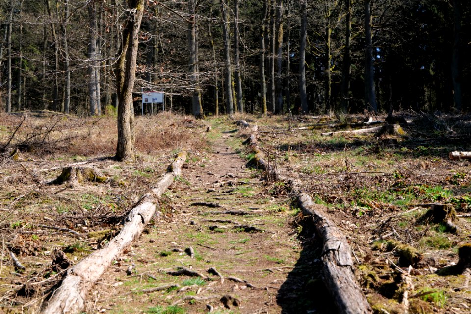 Ockstädter Kleinkastell 2021-04-02 01