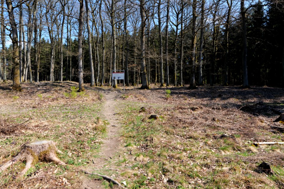 Ockstädter Kleinkastell 2021-04-02 03