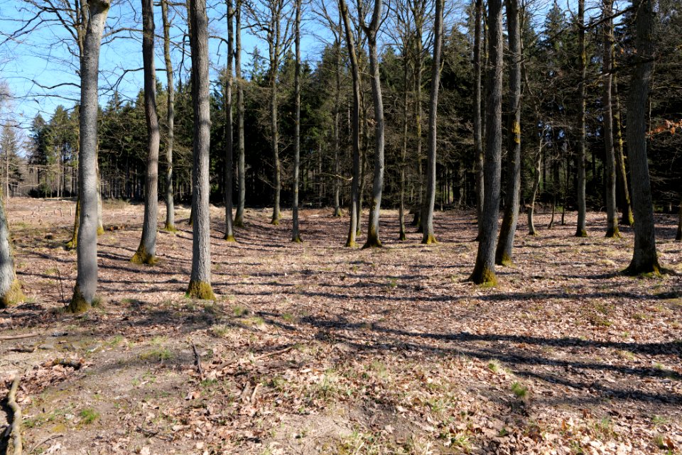 Ockstädter Kleinkastell 2021-04-02 04
