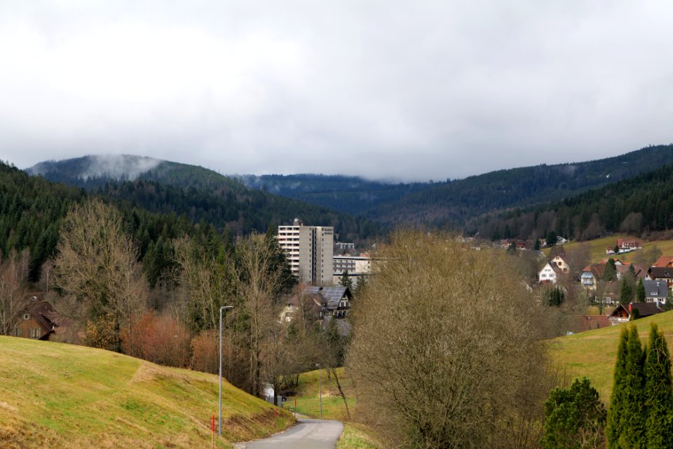 Obertal Baiersbronn 2020-03-11 10
