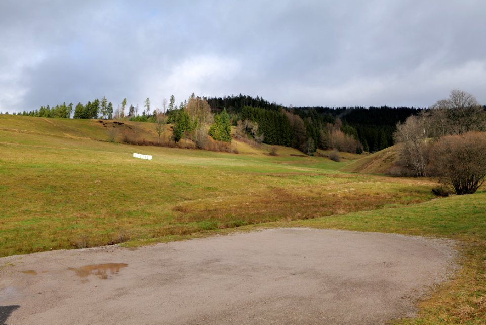 Obertal Baiersbronn 2020-03-11 03