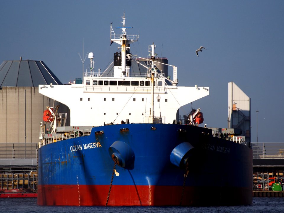 Ocean Minerva (ship, 2007) IMO 9316880 Port of Amsterdam pic2