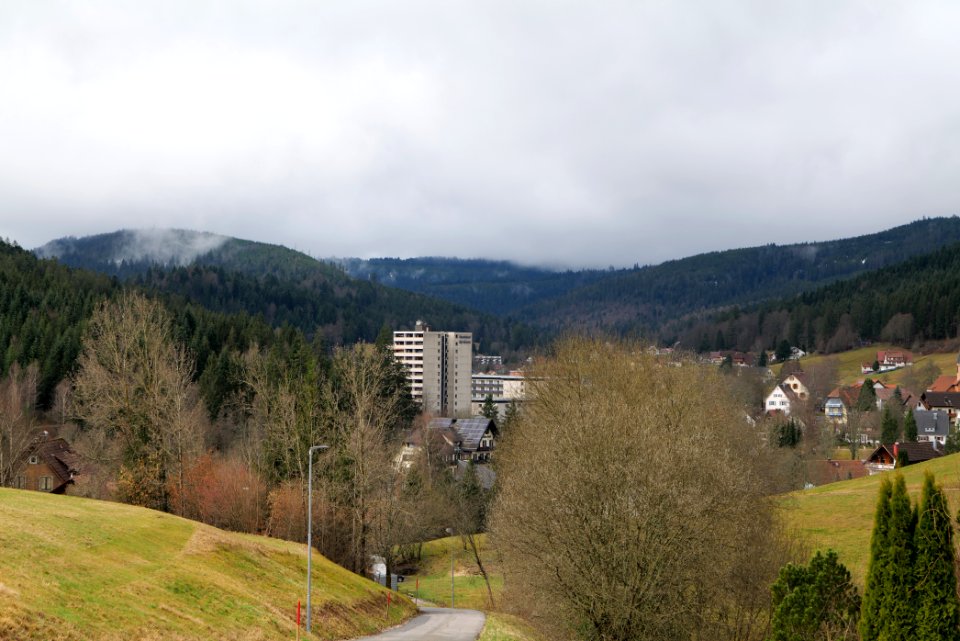 Obertal Baiersbronn 2020-03-11 09