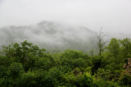 Oconaluftee overlook in rain, May 2017