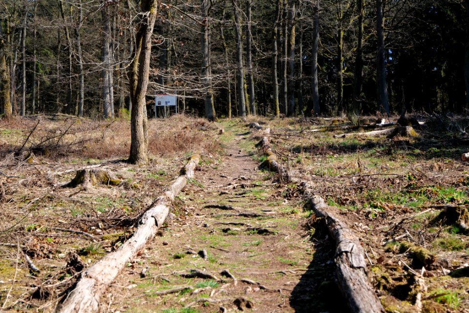 Ockstädter Kleinkastell 2021-04-02 02