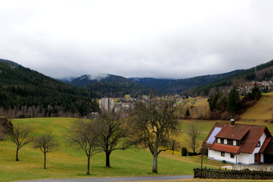 Obertal Baiersbronn 2020-03-11 21