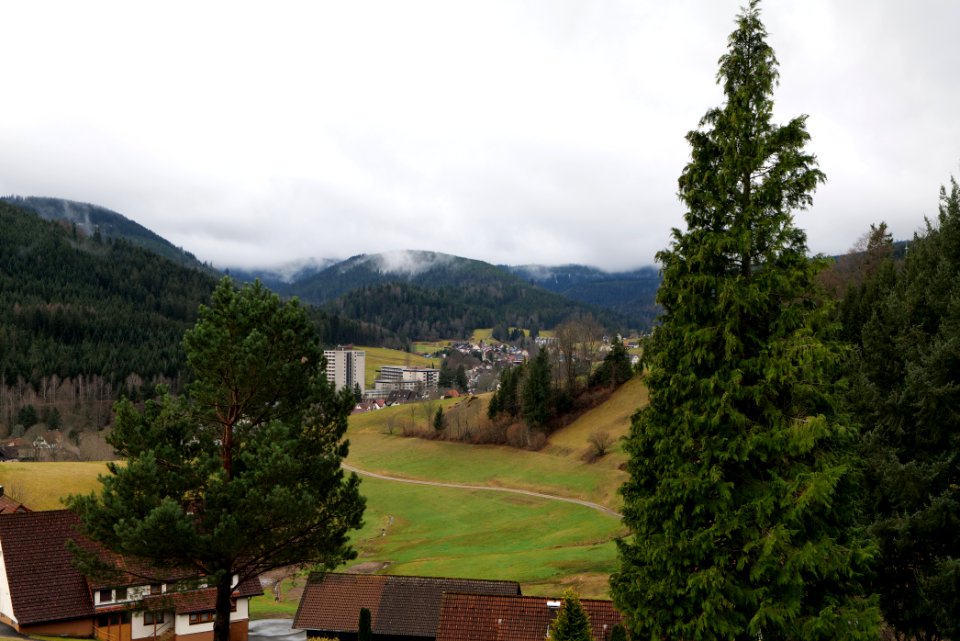 Obertal Baiersbronn 2020-03-11 29
