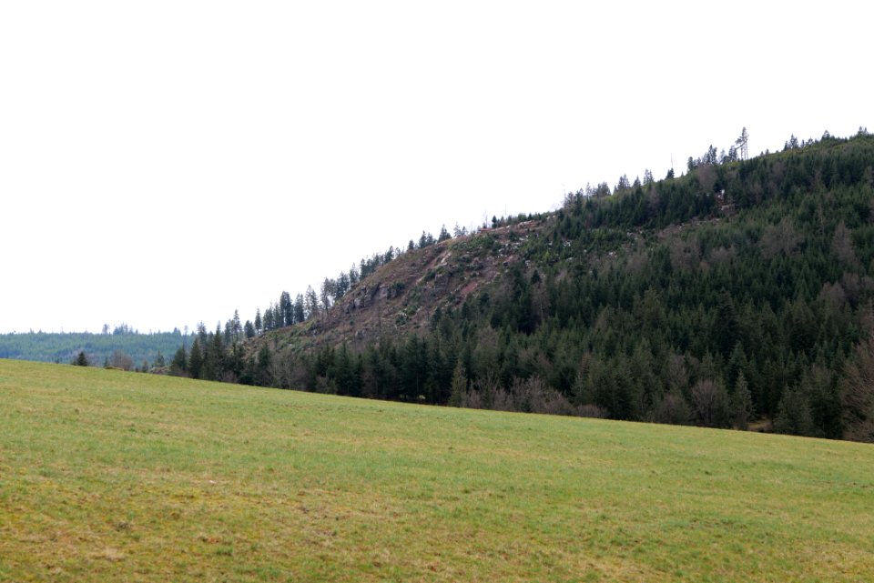 Obertal Baiersbronn 2020-03-11 12