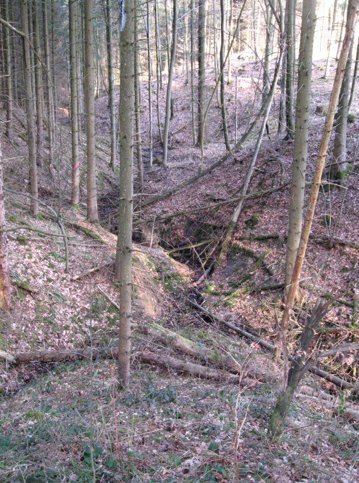 Oberste Gabel des Hirtenbachs