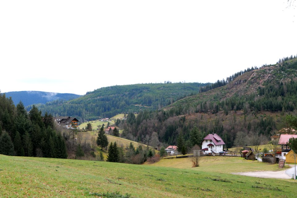 Obertal Baiersbronn 2020-03-11 26