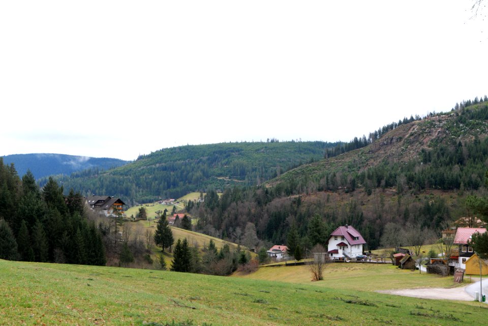 Obertal Baiersbronn 2020-03-11 27