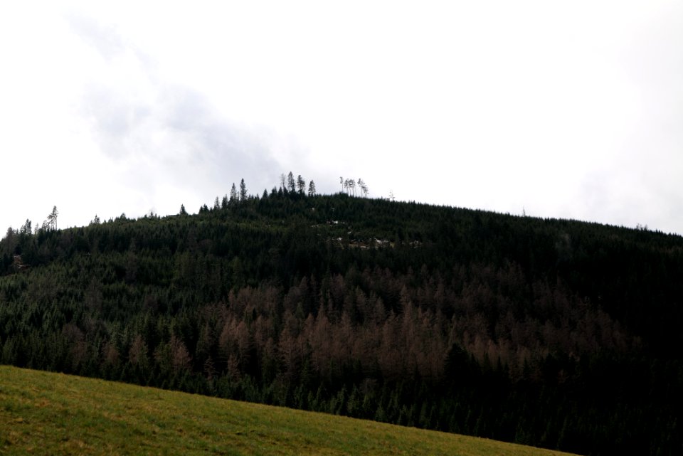 Obertal Baiersbronn 2020-03-11 11