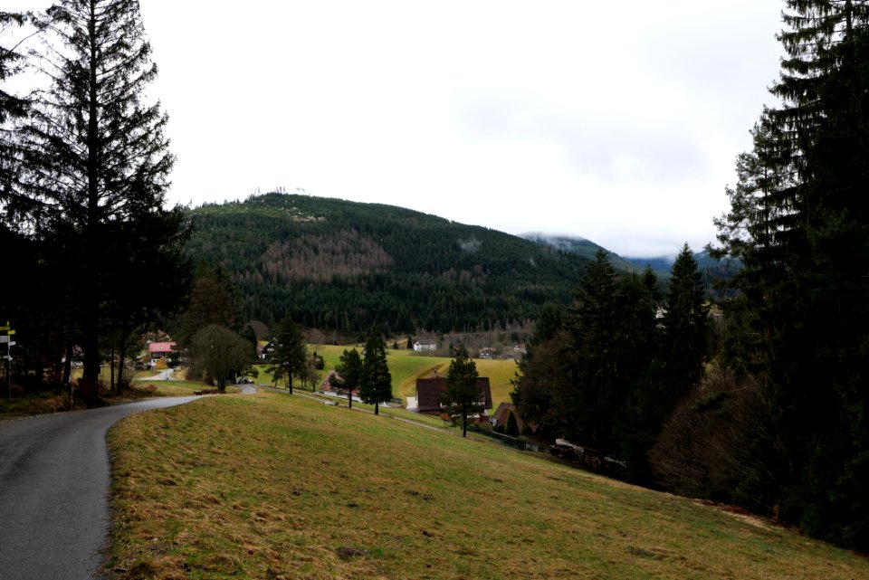 Obertal Baiersbronn 2020-03-11 30